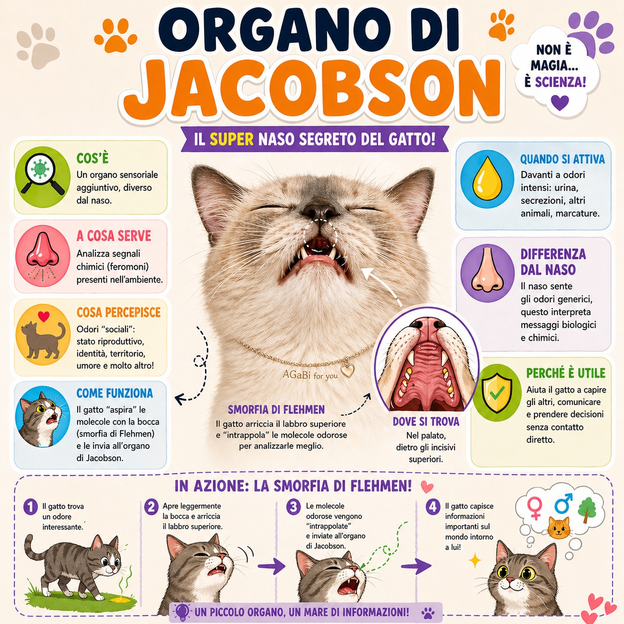 jacobson pic